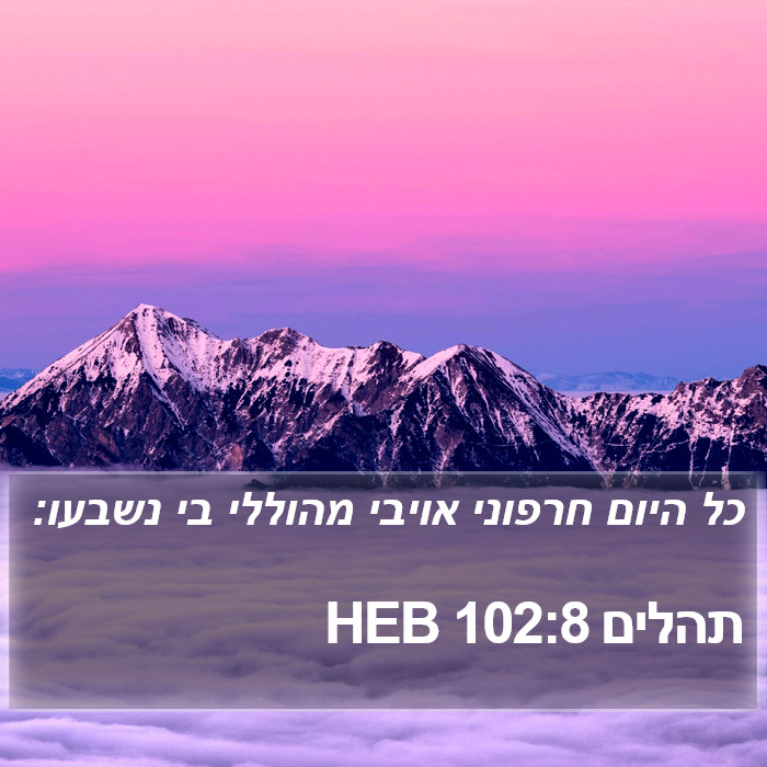 תהלים 102:8 HEB Bible Study