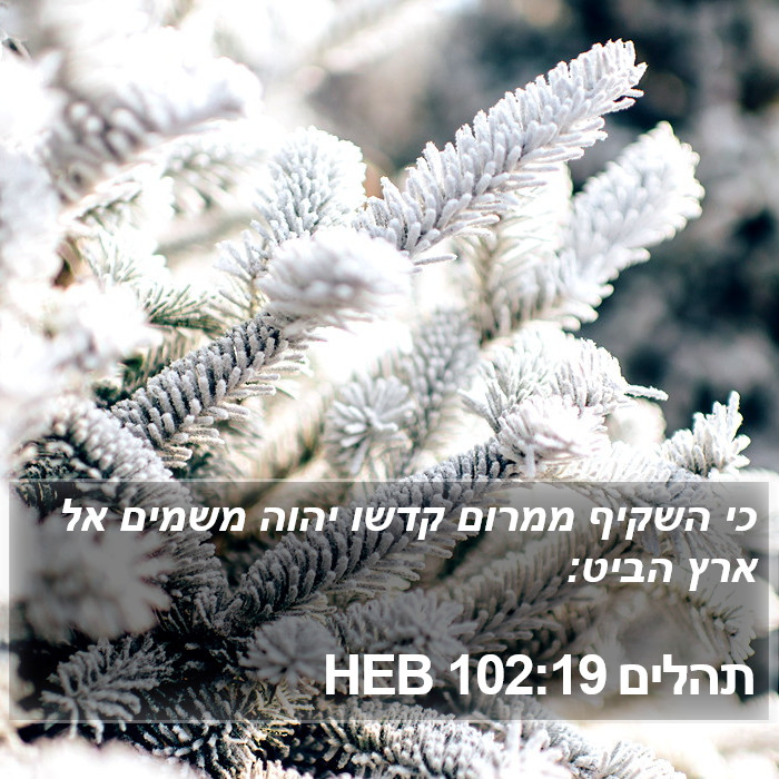 תהלים 102:19 HEB Bible Study