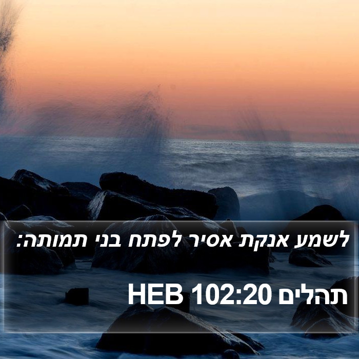 תהלים 102:20 HEB Bible Study