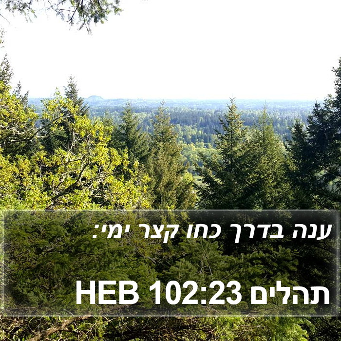 תהלים 102:23 HEB Bible Study