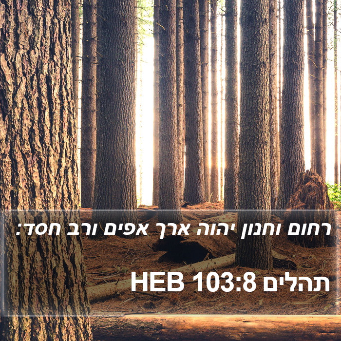 תהלים 103:8 HEB Bible Study