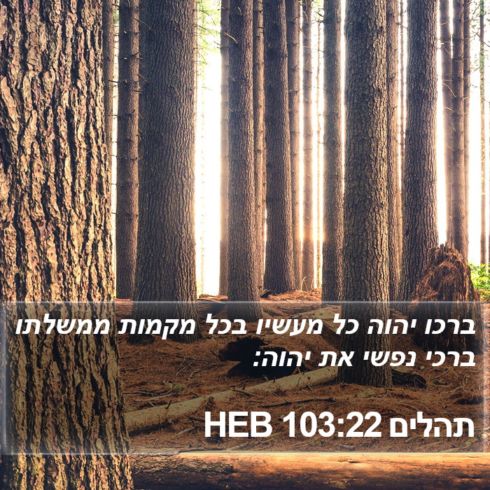 תהלים 103:22 HEB Bible Study