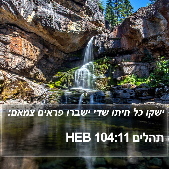 תהלים 104:11 HEB Bible Study