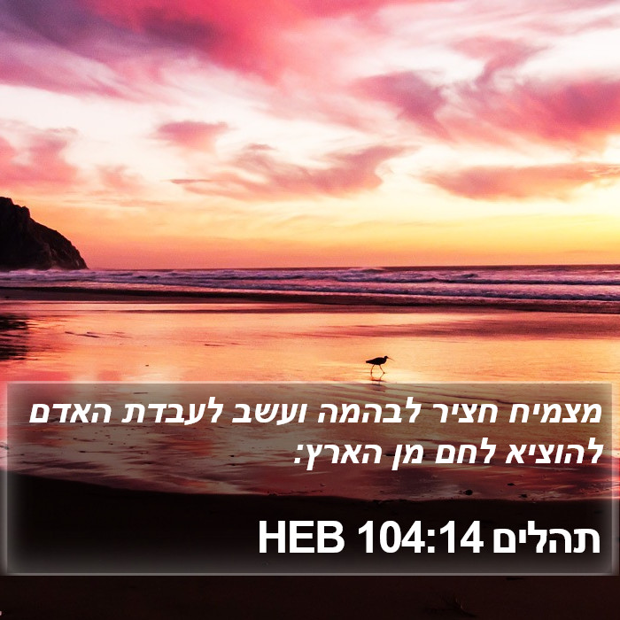 תהלים 104:14 HEB Bible Study