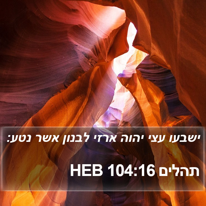 תהלים 104:16 HEB Bible Study