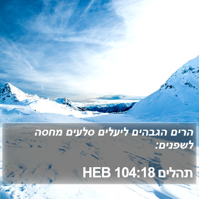 תהלים 104:18 HEB Bible Study