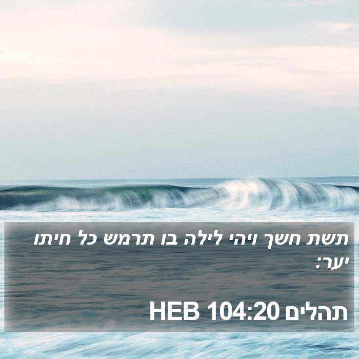 תהלים 104:20 HEB Bible Study