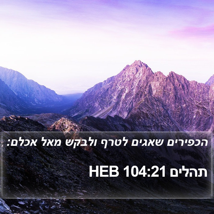 תהלים 104:21 HEB Bible Study