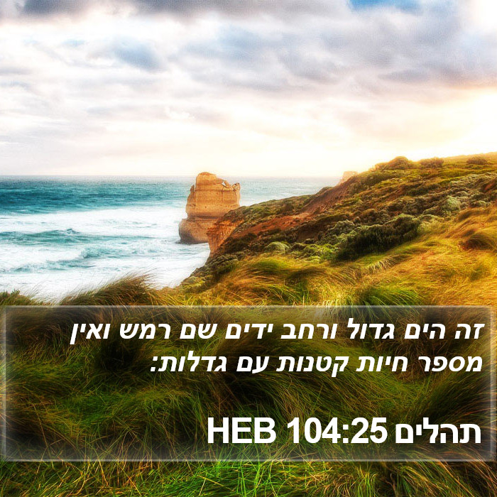 תהלים 104:25 HEB Bible Study