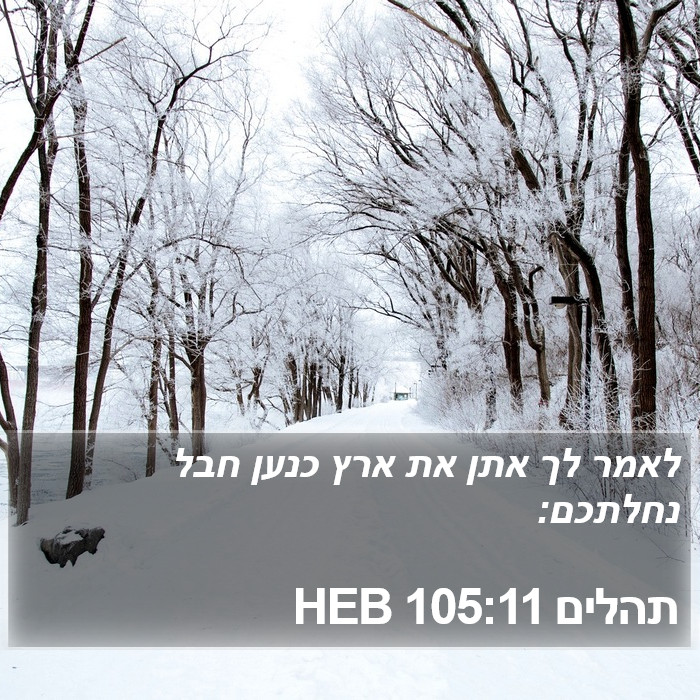 תהלים 105:11 HEB Bible Study