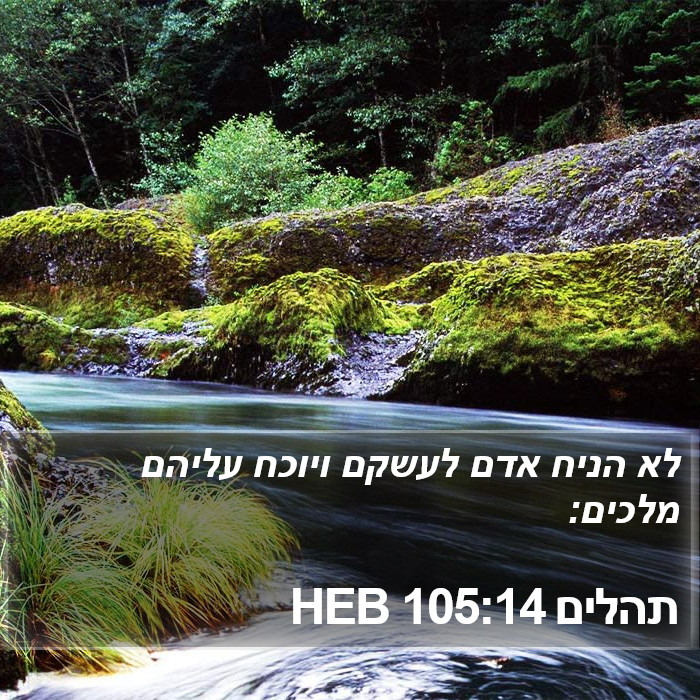 תהלים 105:14 HEB Bible Study