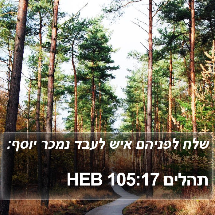 תהלים 105:17 HEB Bible Study