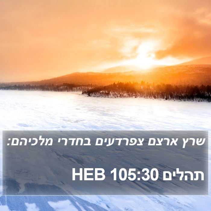 תהלים 105:30 HEB Bible Study