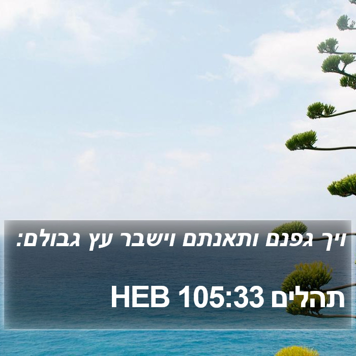 תהלים 105:33 HEB Bible Study