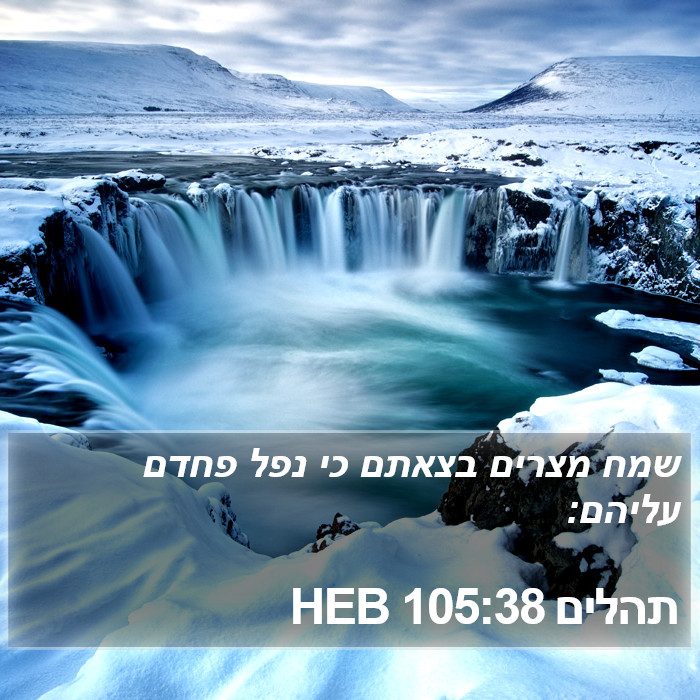 תהלים 105:38 HEB Bible Study