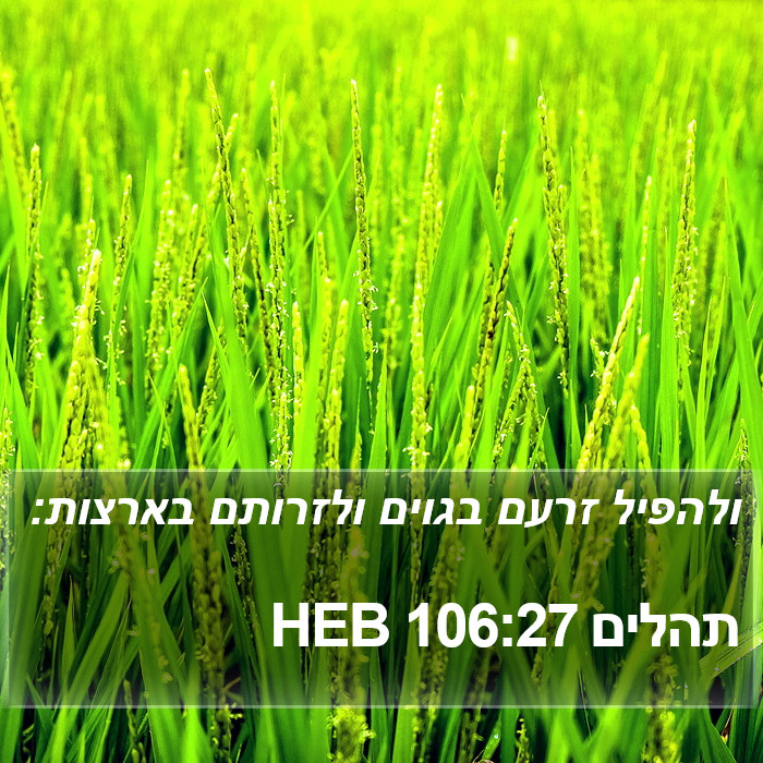 תהלים 106:27 HEB Bible Study