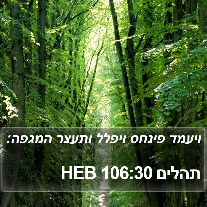 תהלים 106:30 HEB Bible Study