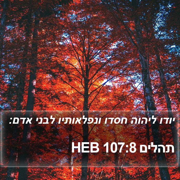 תהלים 107:8 HEB Bible Study