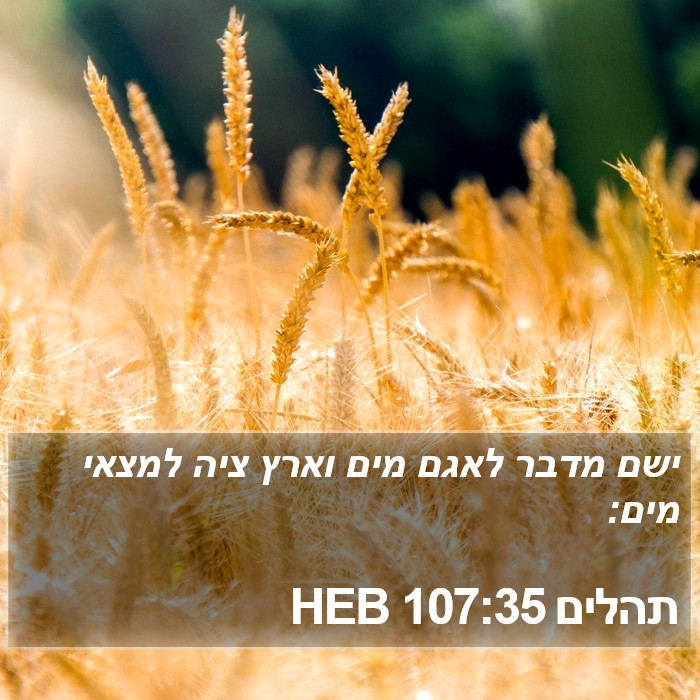 תהלים 107:35 HEB Bible Study