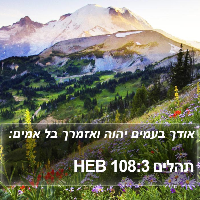 תהלים 108:3 HEB Bible Study