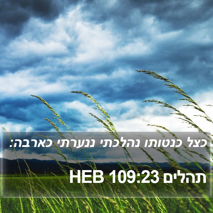 תהלים 109:23 HEB Bible Study