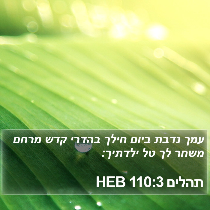 תהלים 110:3 HEB Bible Study