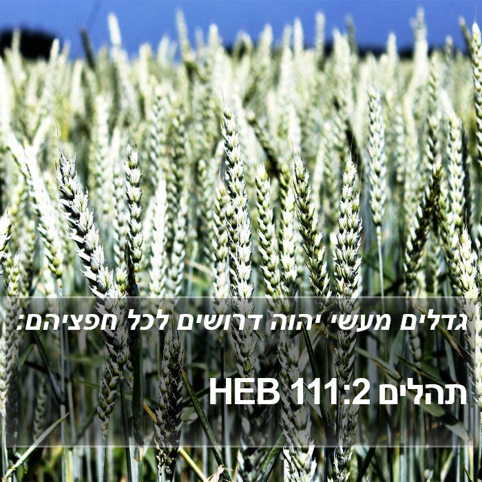 תהלים 111:2 HEB Bible Study