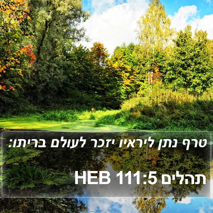 תהלים 111:5 HEB Bible Study