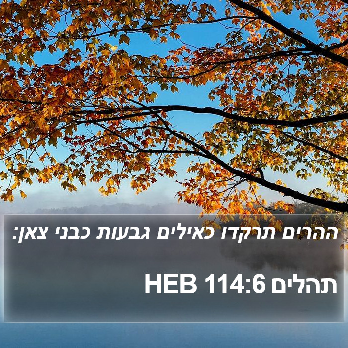 תהלים 114:6 HEB Bible Study