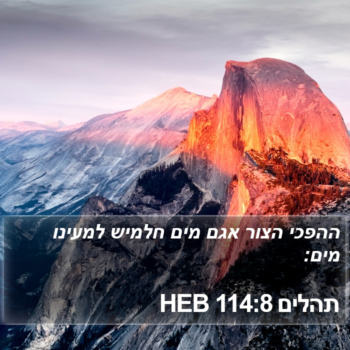 תהלים 114:8 HEB Bible Study