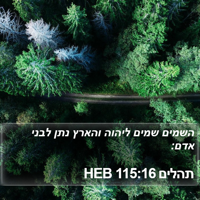 תהלים 115:16 HEB Bible Study