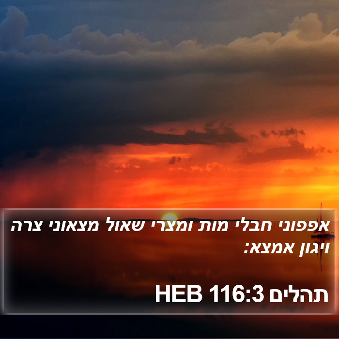 תהלים 116:3 HEB Bible Study