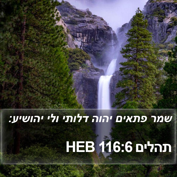 תהלים 116:6 HEB Bible Study