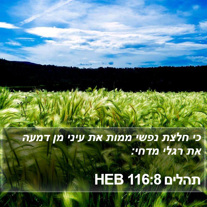 תהלים 116:8 HEB Bible Study