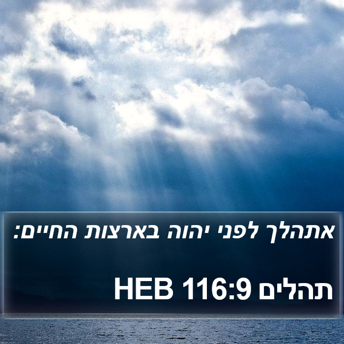 תהלים 116:9 HEB Bible Study