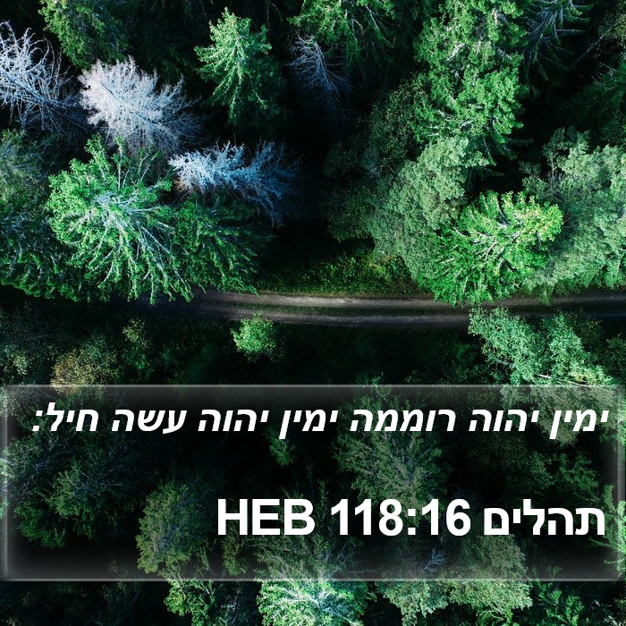 תהלים 118:16 HEB Bible Study