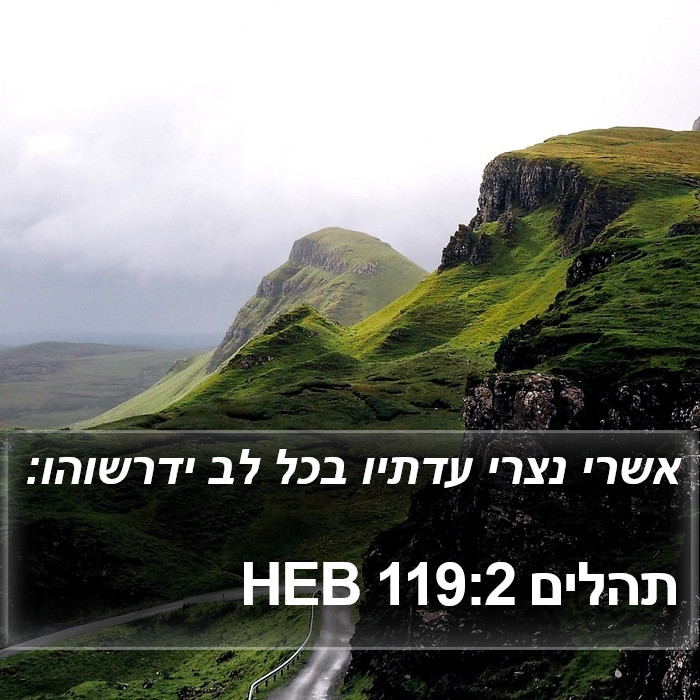 תהלים 119:2 HEB Bible Study