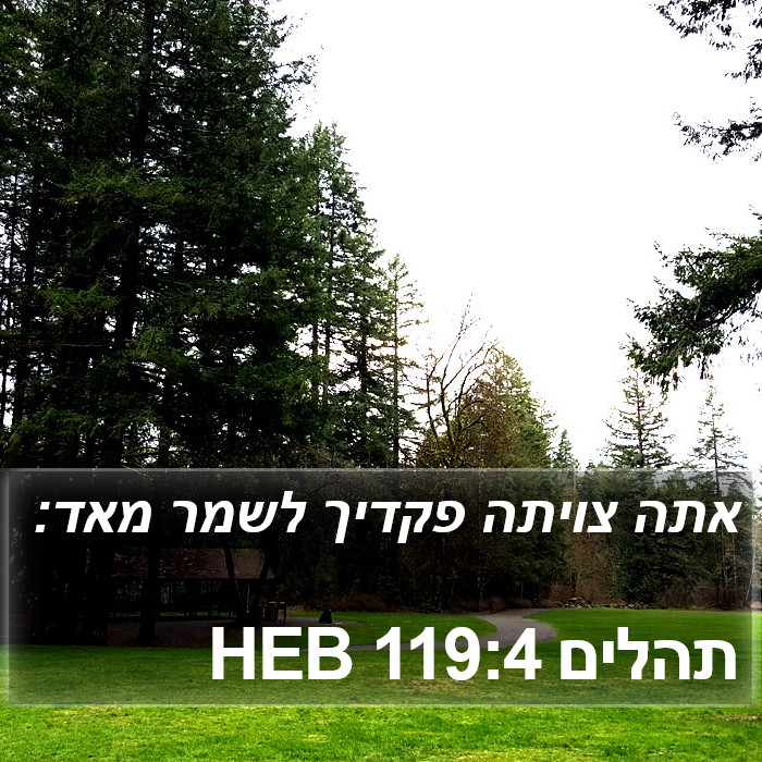 תהלים 119:4 HEB Bible Study