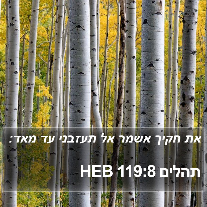 תהלים 119:8 HEB Bible Study