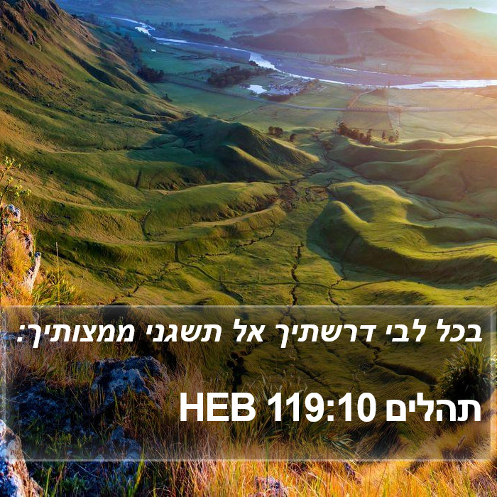 תהלים 119:10 HEB Bible Study