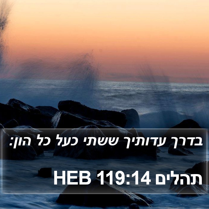 תהלים 119:14 HEB Bible Study