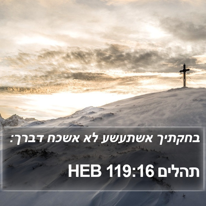 תהלים 119:16 HEB Bible Study