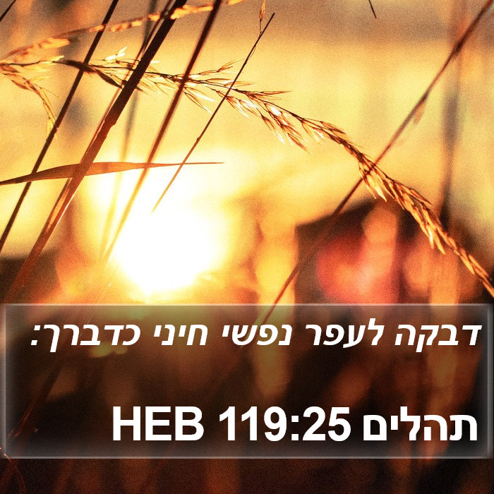 תהלים 119:25 HEB Bible Study