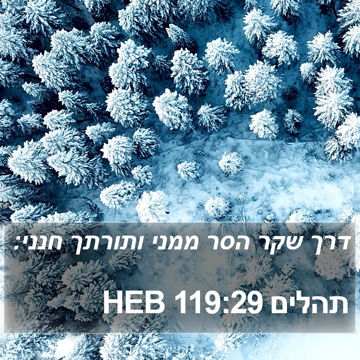 תהלים 119:29 HEB Bible Study