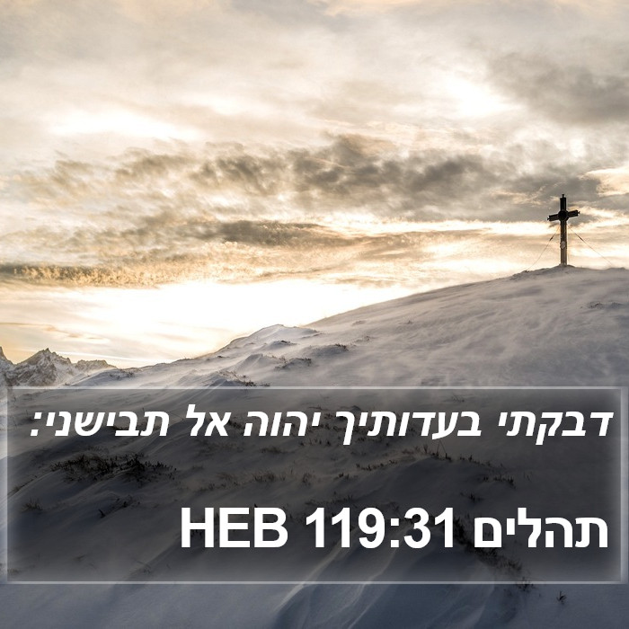 תהלים 119:31 HEB Bible Study