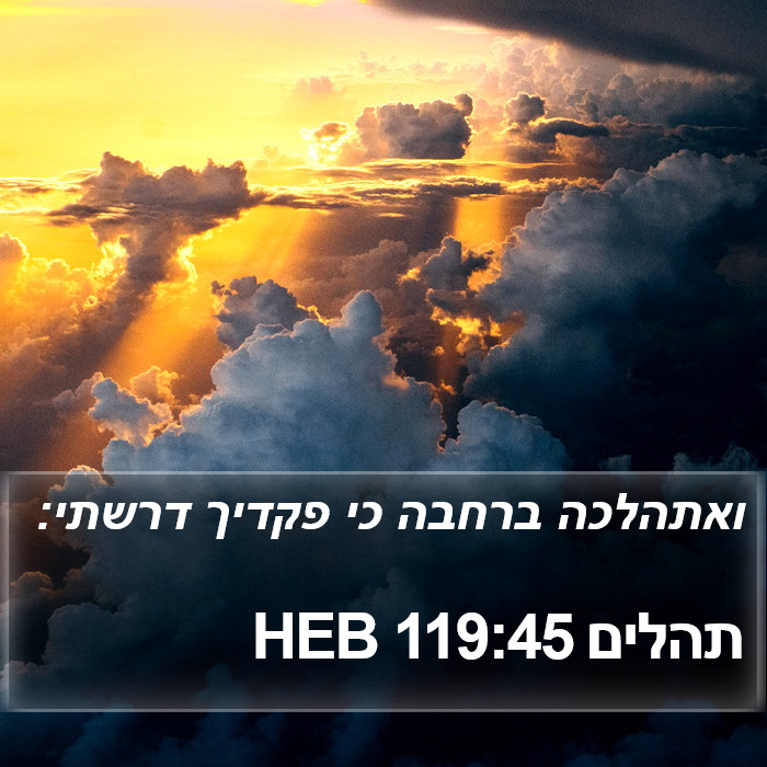 תהלים 119:45 HEB Bible Study