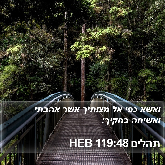 תהלים 119:48 HEB Bible Study