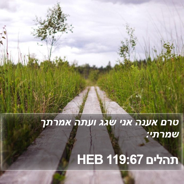 תהלים 119:67 HEB Bible Study