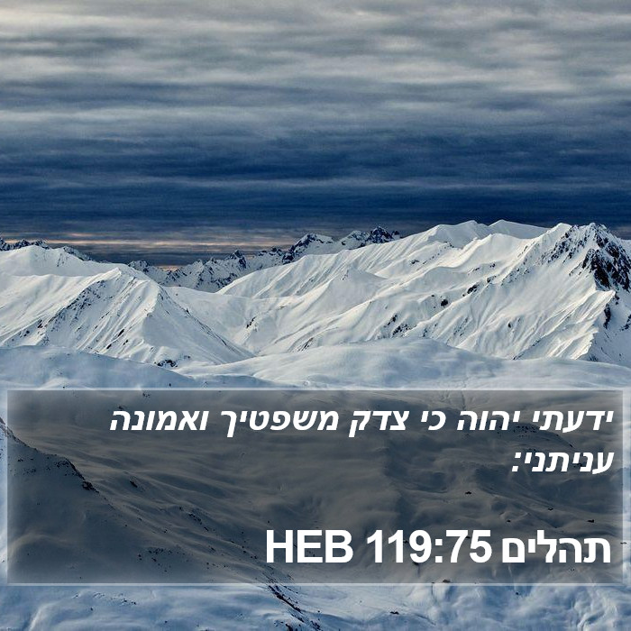 תהלים 119:75 HEB Bible Study