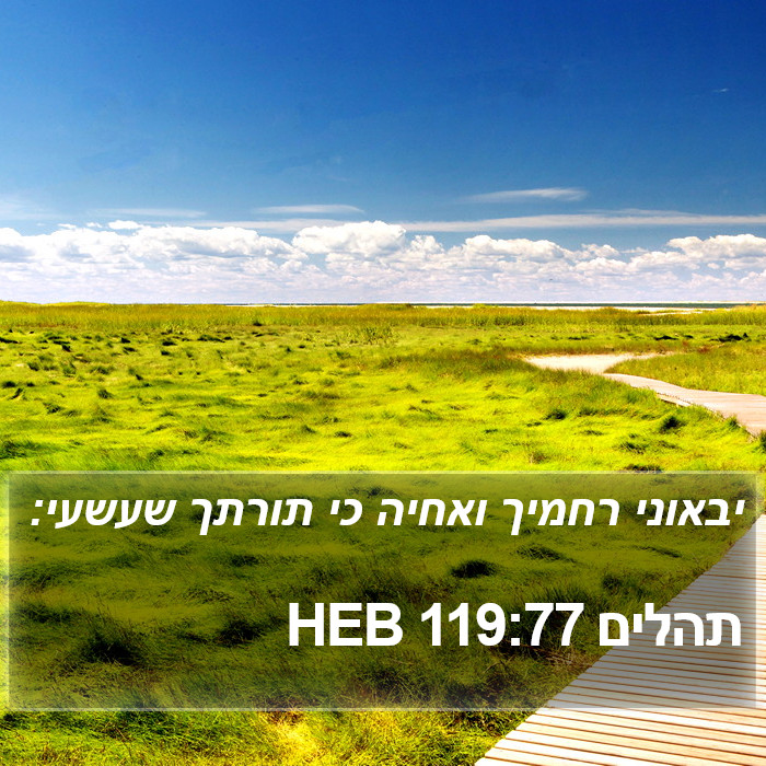 תהלים 119:77 HEB Bible Study